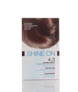 BIONIKE SHINE ON Trattamento colorante capelli CASTANO DORATO 4.3