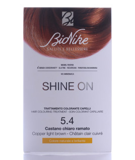 BIONIKE SHINE ON Trattamento colorante capelli CASTANO RAMATO 5.4