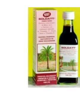 SOLDATT RIBES NE 100ML VGP