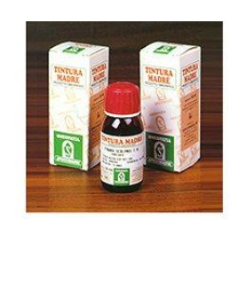 DAMIANA 29 50ML TM SPECCH