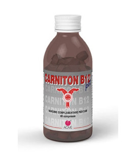 CARNITON-B12 PET 80CPR 80G