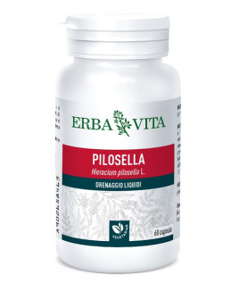 PILOSELLA 60CPS 400MG EBV