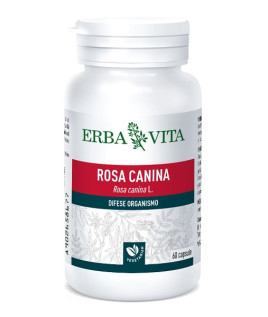 ROSA CANINA 60CPS 400MG EBV