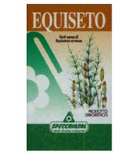 EQUISETO ERBE 80CPS SPECCH