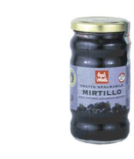 FRUTTA SPALMAB MIRTILLO 280G