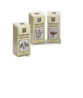 NEPETA CATARIA E.A. 50ML (799) E