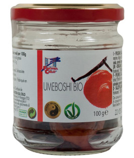 UMEBOSHI 100G BIO