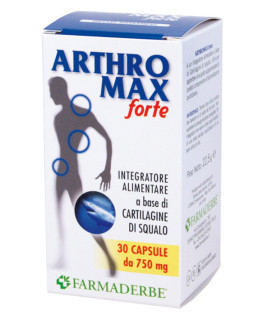 ARTHROMAX FORTE 30CPS FDR