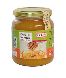 MIELE DI EUCALIPTO BIO 500G FDL