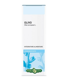 GEMMODERIVATO OLIVO 50ML