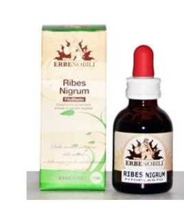 FITOBLASTO RIBES NIGRUM 50ML