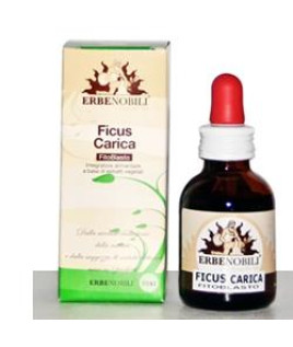 FITOBLASTO FICUS CARICA 50ML