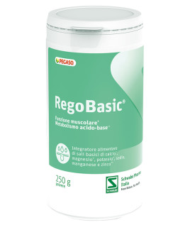 REGOBASIC POLVERE 250G