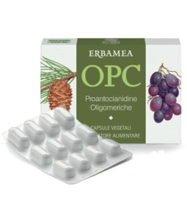 OPC 24CPS VEG S/GL 500MG ERBAMEA