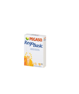 REGOBASIC 12BUST PEGASO