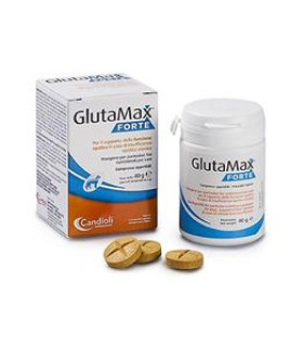 GLUTAMAX FORTE 20CPR<