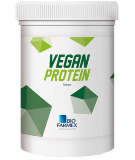 Vegan Protein 500g