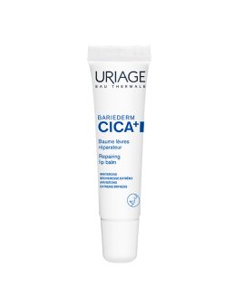 BARIEDERM CICA-LEVRES 15ML