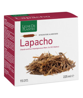 LAPACHO 15FLL 15ML LIGNE DE PLAN