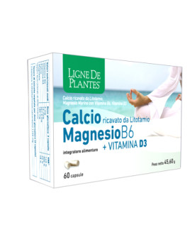 CALCIO MAGNESIO B6+VITD3 60CPS