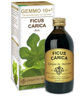 FICO GEMMO 10+ S/ALC 200ML FERRI