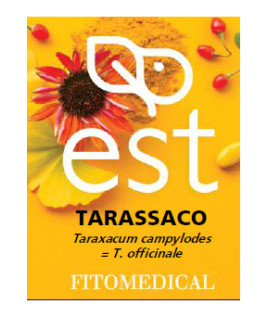 TARASSACO ESTRATTO SECCO 60TAV