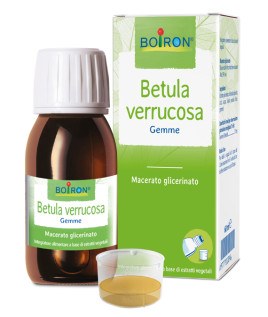 BETULA VERRUCO MG 60ML INT BO