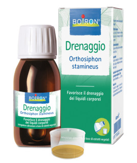 ORTHOSIPHON STA EI 60ML INT BO