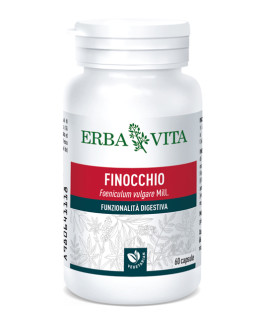 FINOCCHIO 60CPS EBV<