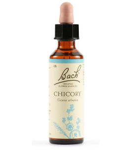 BACH CHICORY BACH ORIG 20ML