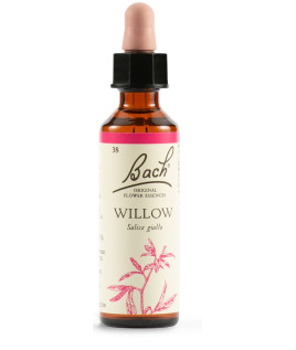 WILLOW BACH ORIG 20ML