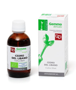 CEDRO DEL LIBANO MG BIO 50ML FTM