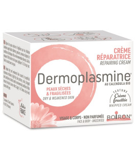 DERMOPLASMINE CR MOUSSE 20G