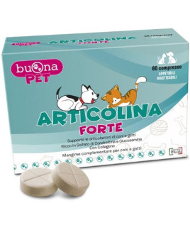 ARTICOLINA FORTE 60CPR