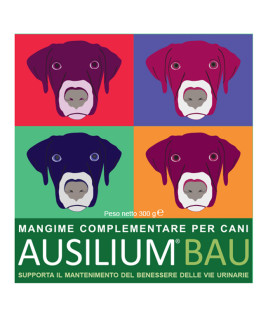AUSILIUM BAU 300GR C/MISURINO DE