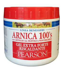ARNICA 100'S GEL EX FT RISC500