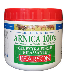 ARNICA 100'S GEL EX FT RILA500