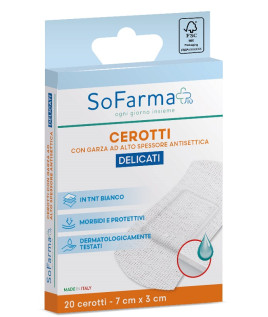 SF+ CER DELICATI 7X3 20PZ