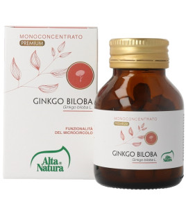 GINKGO BILOBA 100CPR 900MG