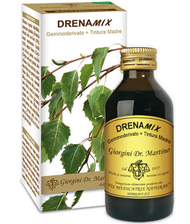 DRENAMIX LIQUIDO ANALC 100ML