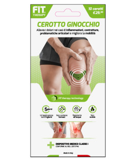 FIT THERAPY CER GINOC 10PZ