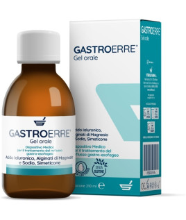 GASTROERRE 210ML