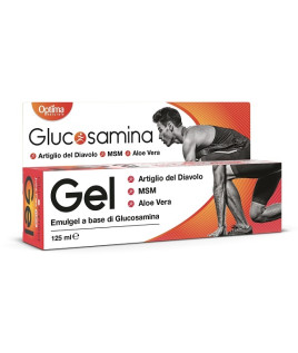 GLUCOSAMINA JOINT FLEX GEL FT