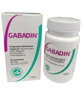 GABADIN 30CPR