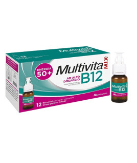 MULTIVITAMIX B12 12FL<>