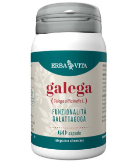 GALEGA 60CPS EBV