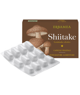 SHITAKE 24CPS VEGETALI ERBAMEA