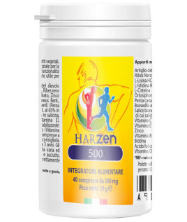 HARZEN-500 INTEG 40CPR 500MG