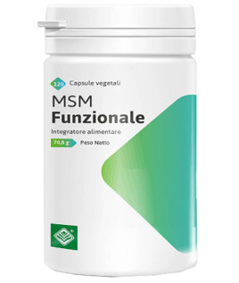 MSM FUNZIONALE 120CPS GHEOS