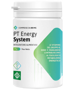 PT ENERGY SYSTEM 30CPR 24G